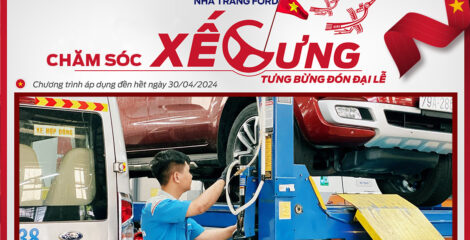 CHĂM SÓC XẾ CƯNG – TƯNG BỪNG ĐÓN ĐẠI LỄ