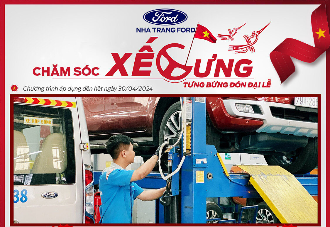 CHĂM SÓC XẾ CƯNG – TƯNG BỪNG ĐÓN ĐẠI LỄ
